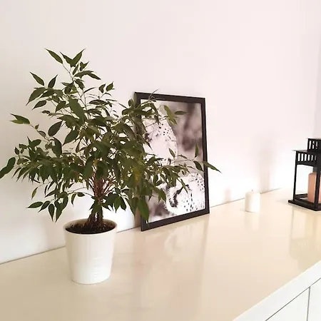 アパート Gran Piso Luminoso En El Centro De レオン